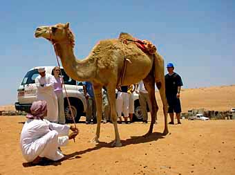Reise in den Oman